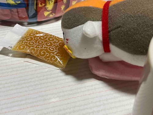 油断してたら先生が羊羹食べようとしてた
「おい！これ開けろ！」
