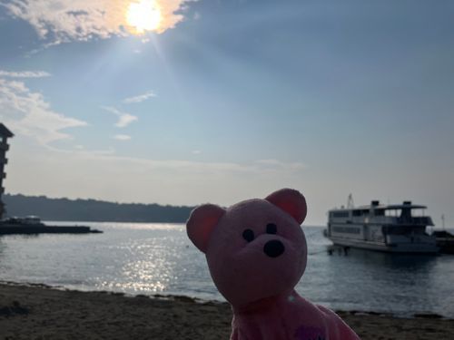 内浦の海。