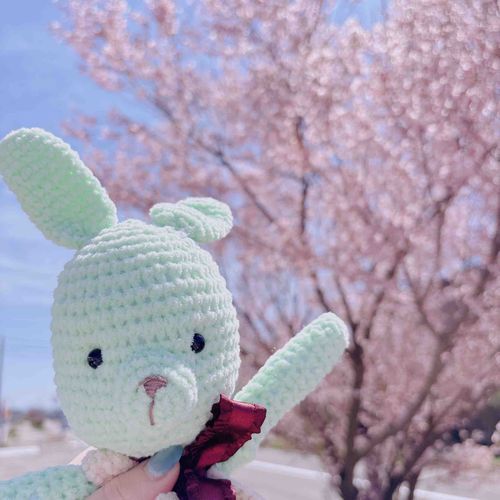 やっほ〜！ひよりだよ！
最近SNSの更新サボっちゃってたんだ…お姉ちゃんにも怒られちゃった💦
動画更新だけじゃなくてSNSでもしっかりひよりの日常を伝えるんだ！

今年の春から幼稚園に通い始めたよ！
桜を見て頑張るぞって気持ちがたくさんわいてきたんだ！