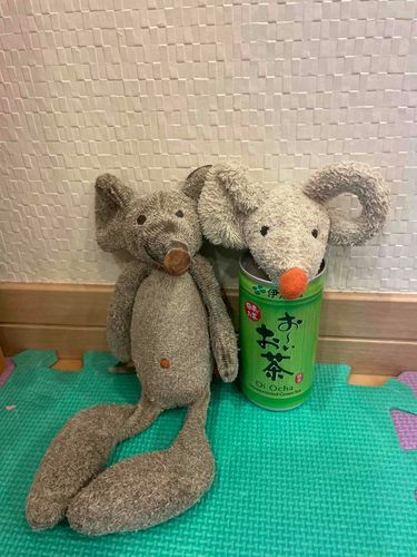今日はお友達のコプチと、おーいお茶飲むよー🍵🐭