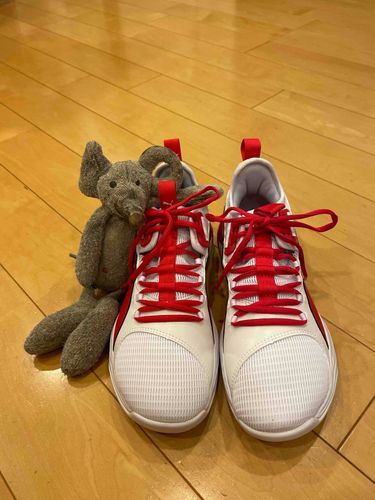 持ち主さんのバスケットシューズ🏀プチが選んだんだよ🐭