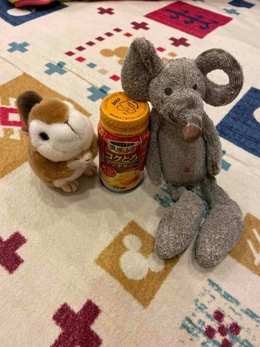 今日は冬なのでコーンスープを飲むよ！