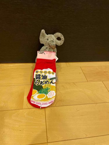 今日はこないだ持ち主さんと靴下買いに行ったらかわいいのがあったよー🧦🧦
