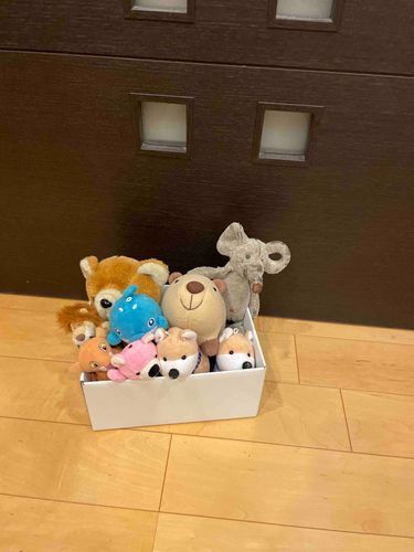 今日はダンボール📦で遊んだよー