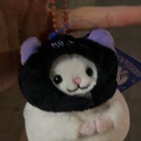 ら太郎