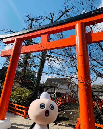 初詣のたわわ。