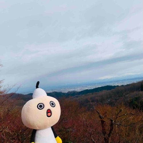 山の上のたわわ。
