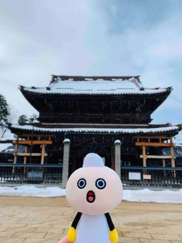 門前のたわわ。