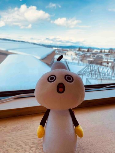 雪の屋根とたわわ。