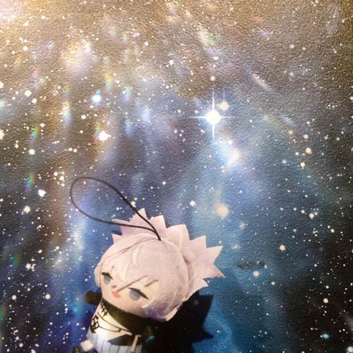 空中の旅🪽