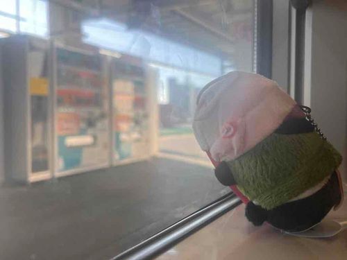 今日はあるじのお供しにきたよ！