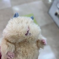 ふわふわ