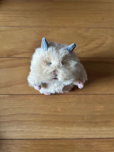 お仕事頑張ってくるね