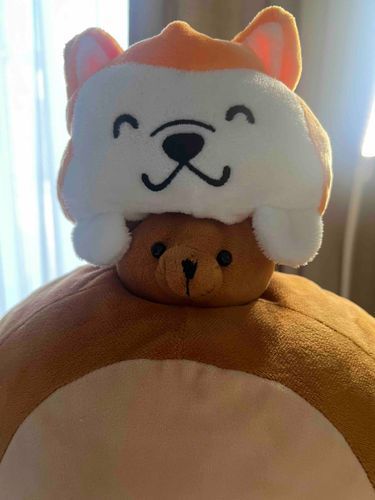 戻りまぴた