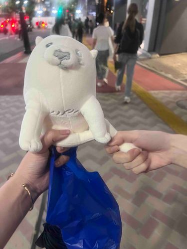 新しい仲間をお迎えしました❣️