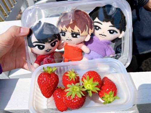 💜「今日はいちご狩りに行ってきたよー」
❤️「色々な種類を食べられるのは良かったですね。」
🧡「ぬし、ちゃんといっぱい食べた？」