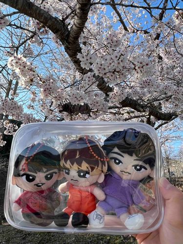 ❤️「今日は県内で有名な桜が咲いている所にも遊びに行きました。」
💜「やっぱり桜は良いよねぇ。」
🧡「そうやな！次はみんなでお花見もしてみたいなぁ！」