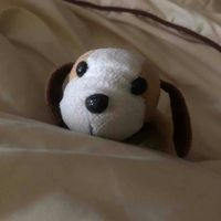 くんくん