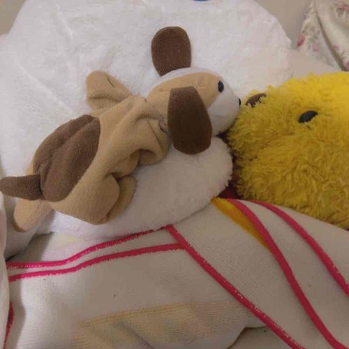 ぼくのかわいい弟🧸
むちゅ！ってしちゃう わん