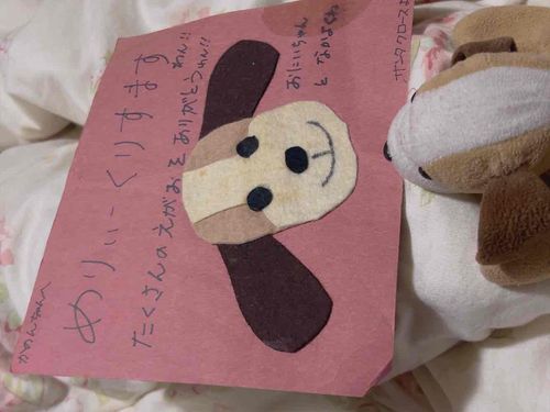 これは昔 まだかのんが幼稚園に通っていたときに、ぼくがサンタさんと協力して贈ったクリスマスカード わん
おとなになった今も 大切にしてくれているの わんね
うれしい わん