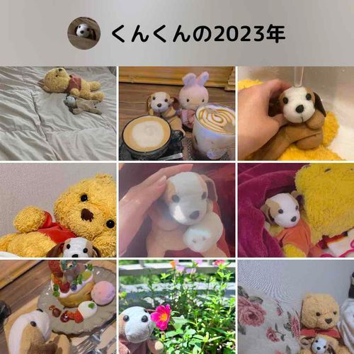 ずっとお家の中で暮らしてきたから、いろんなお友達が居るって知れて楽しかった わん！
これからもみんな よろしくね