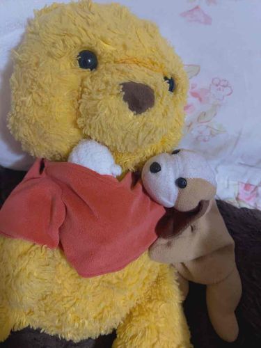 揺れたの怖かった わん、、
お仕事に連れて行って わん！一緒にいたい わん（ ;  ; ）