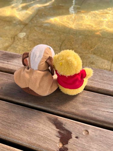 今日はかのんのお誕生日 わん！モバイルぷーちゃんと一緒に熱海に連れてきてもらった わんよ♨️駅前の足湯、きもちい〜