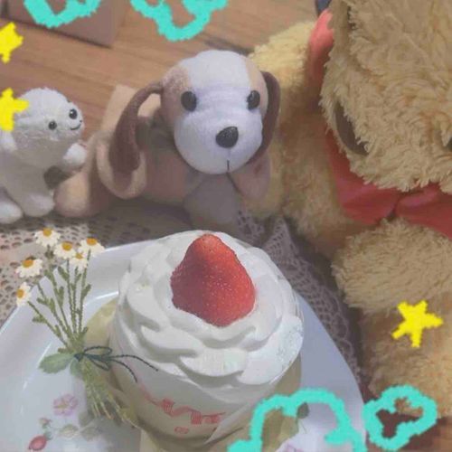 久しぶりの投稿わん！
今日はぼくの26さいのお誕生日だから、かのんがケーキを買ってきてくれたよ
チョコケーキ無かったよ〜ごめんねって言ってたけど嬉しいわんよ
ありがとうね
#お誕生日
