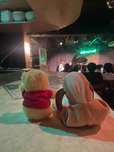 このあいだ、かのんのコンサートを観に行ったんだわん🎤ピアノもお歌も、小さな頃よりじょうずになったわんね、、