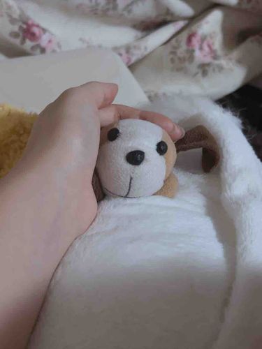明日おやすみなの？
ゆっくりしようわん