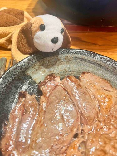 ほーらみんなステーキわんよ🥩
すてきわん〜、、