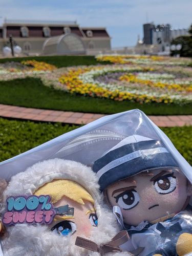 前ディズニー行った時のアムぬいと、シャぬです🎡🎠