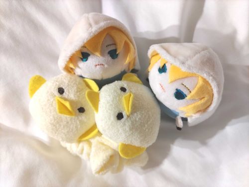 ぴよりん みせてあげますゃ🐥

あいらし しゅしゅだや！🐥
