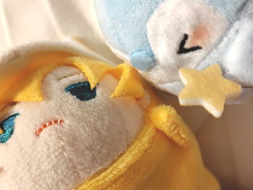 あたらし なかまだや！🌟
