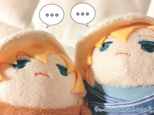 ちょと おひさしぶりになてしまたゃ💦

たやたち あいかわらず げんきいぱい ぱわもりもりや！✨️