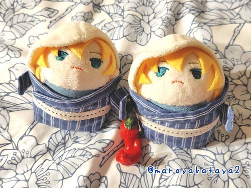 とがらし みせてあげますや！🌶️✨️

しょくひんさんぷる て やつだゃ