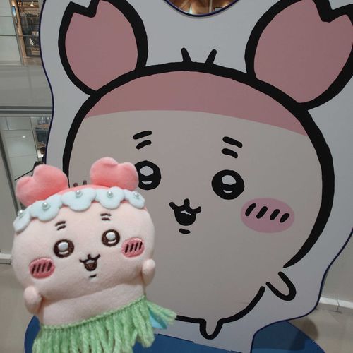 我が家のカニちゃんとの写真を載せていきます📸✨