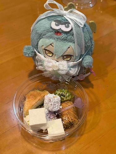 とるこってくにの、おかしらしい。たべるゆうき、なかなかでない。