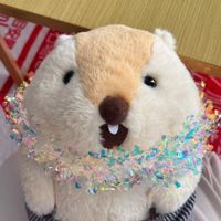 もっとっと