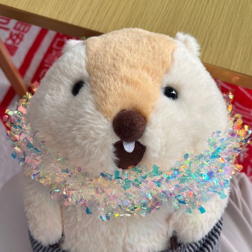 ぼく、もっとっと