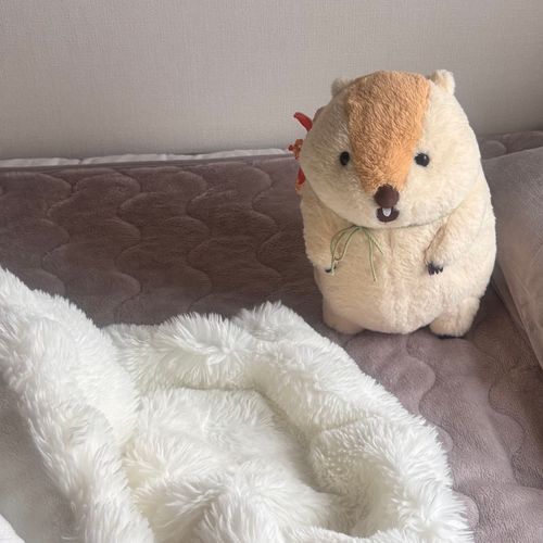 はじめまして。ぼく、もっとっと