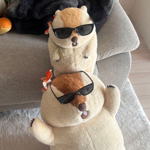 これは、めがもっと。