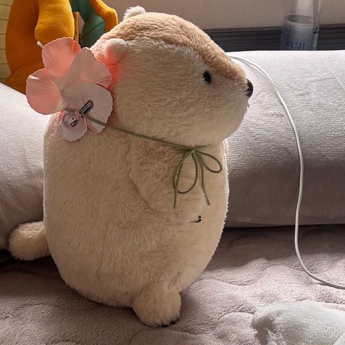 今日も家に置いていかれてるよ。灼熱