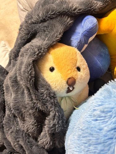 あ、こんばんは