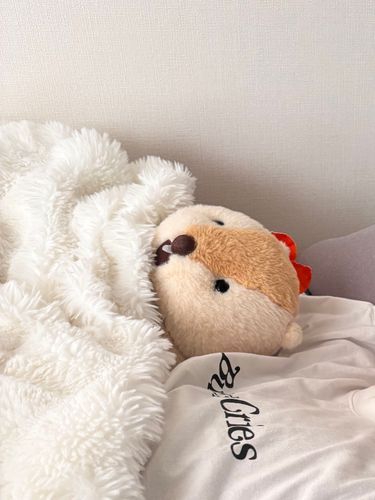ふわふわ