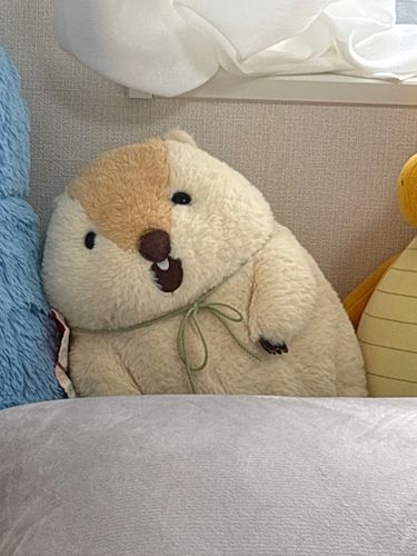 今日もお留守番