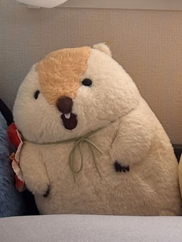 大体ここから動かしてもらえないんですよね。