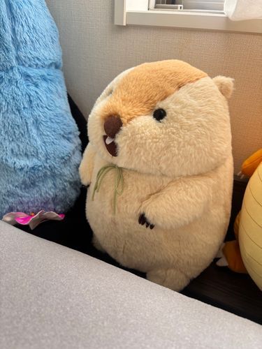 今日はシャッターが開いてる 何日ぶり？
