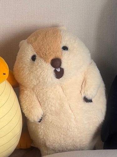 いつも傾いてるんだよね。