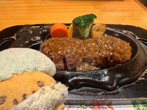 めちゃくちゃ並ぶかもと飼い主が怖気付いてたさわやかハンバーグだぴ
お肉がりちゅぴくらいあるぴ！！